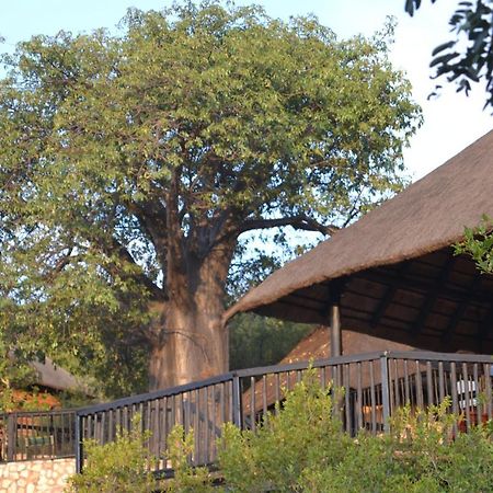 Adansonia Eco Lodge Musina Dış mekan fotoğraf
