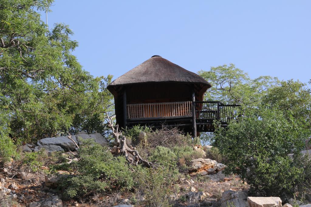 Adansonia Eco Lodge Musina Oda fotoğraf