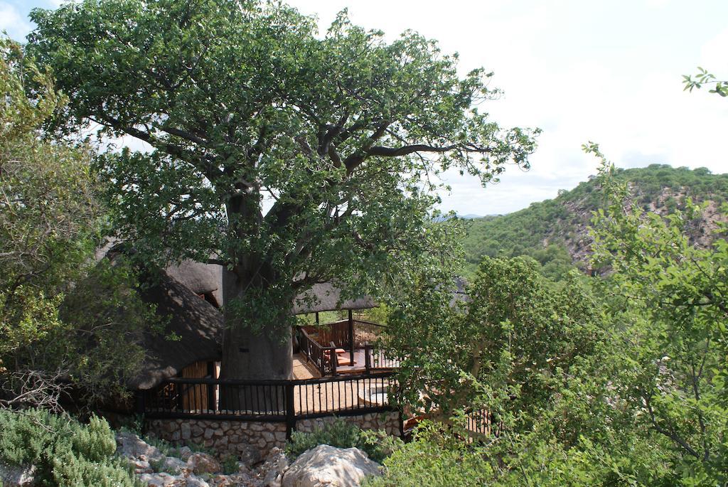 Adansonia Eco Lodge Musina Dış mekan fotoğraf