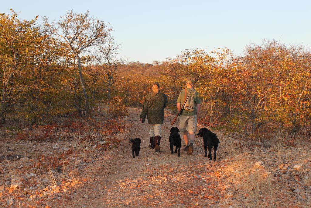 Adansonia Eco Lodge Musina Dış mekan fotoğraf