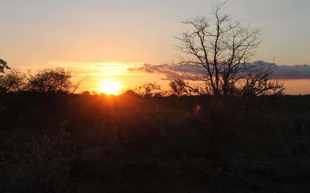 Adansonia Eco Lodge Musina Dış mekan fotoğraf