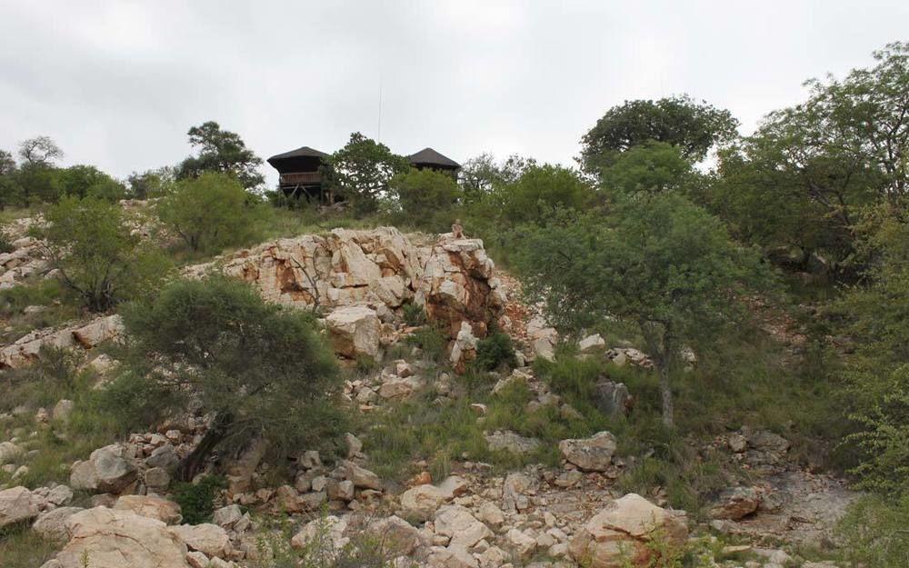 Adansonia Eco Lodge Musina Dış mekan fotoğraf