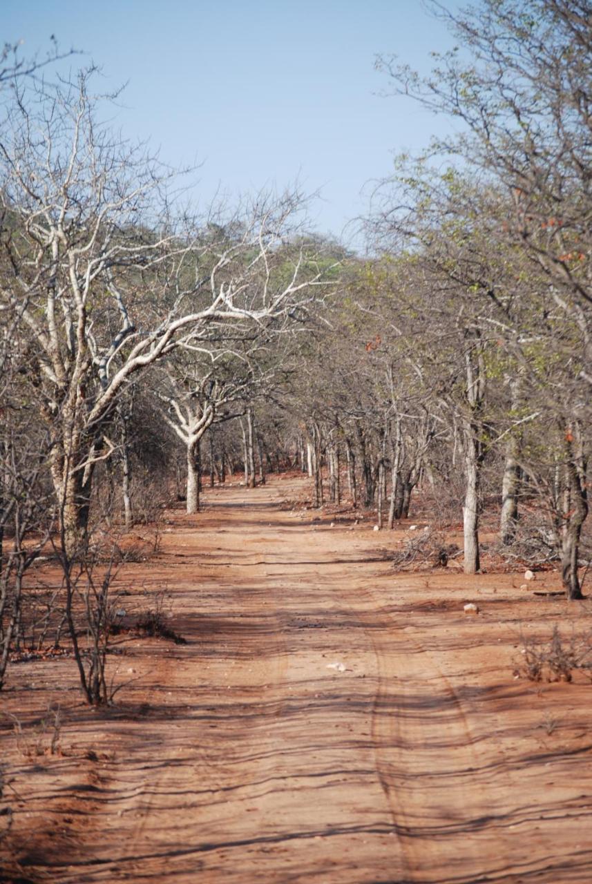Adansonia Eco Lodge Musina Dış mekan fotoğraf